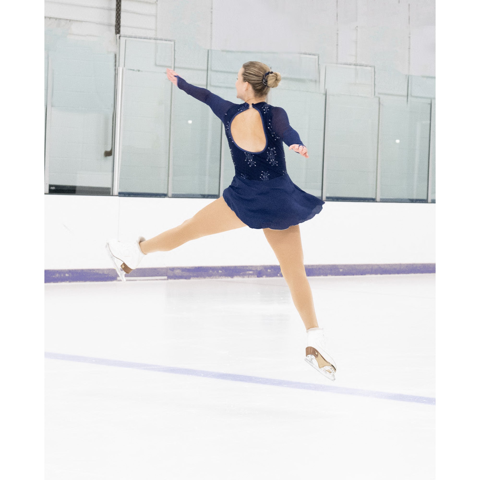 AA035 Frost Patterns Figure Skate Dress
