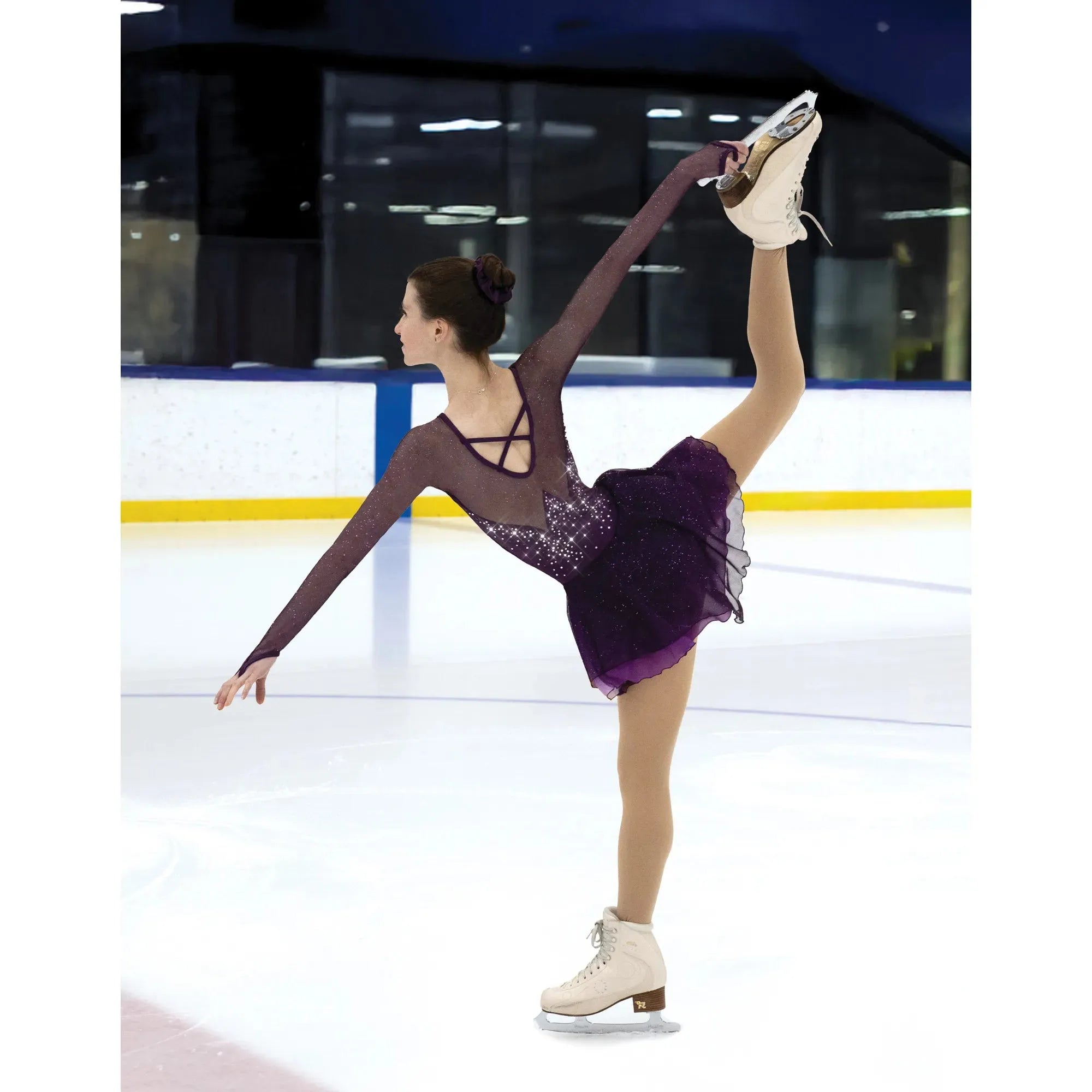 AA087 Aubergine Sheen Dress