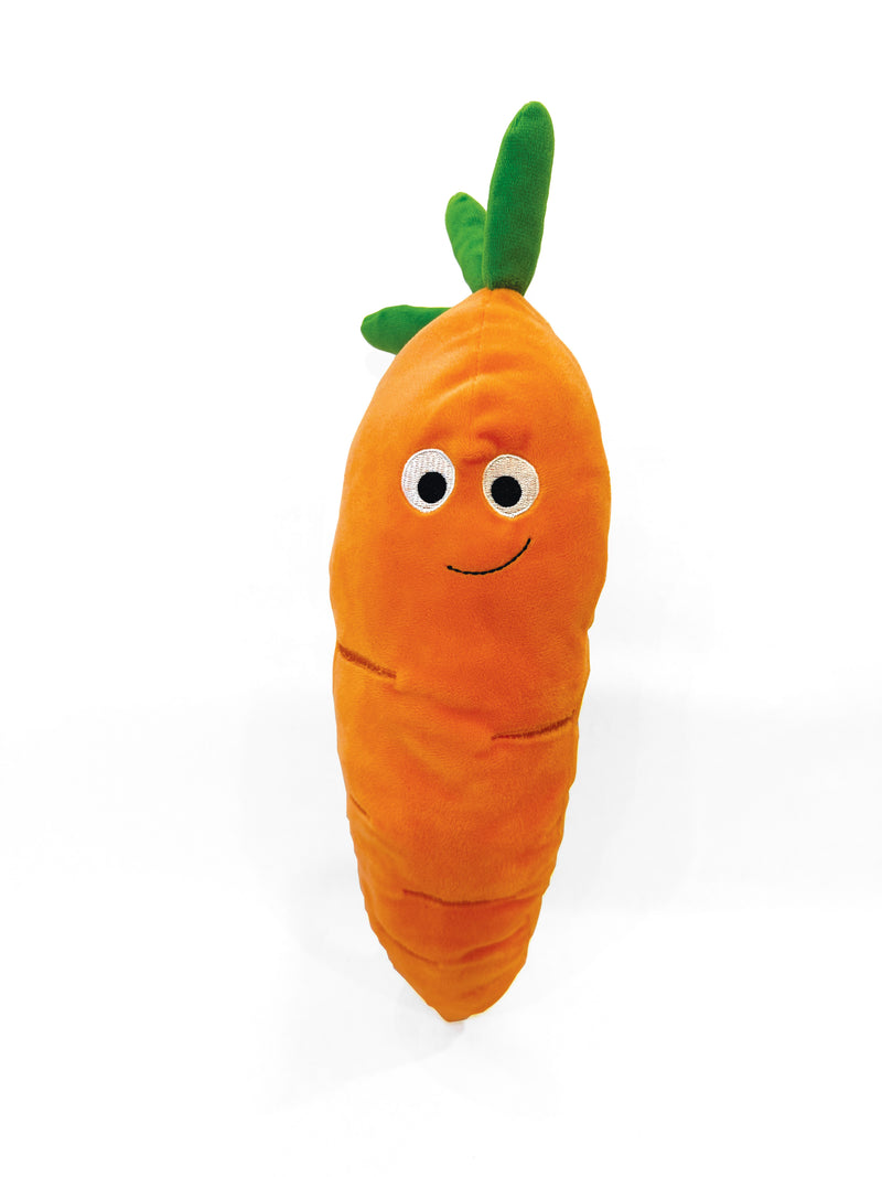 JR1362 Carrot Fun Food Soakers